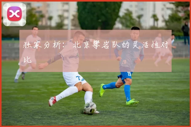 独家分析：北京攀岩队的灵活性对比