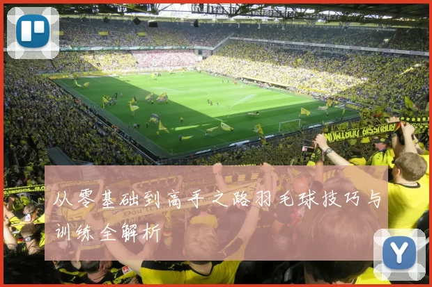 从零基础到高手之路羽毛球技巧与训练全解析