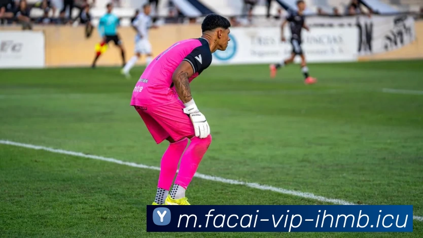 爱游戏体育APP 高清赛事图